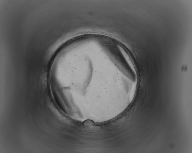 X0000092261503200710051309