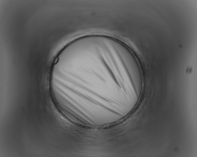 X0000092261504200710051309