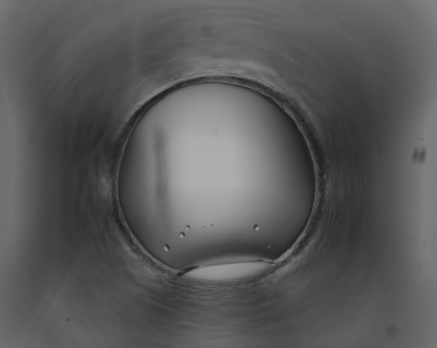 X0000092261505200710051309