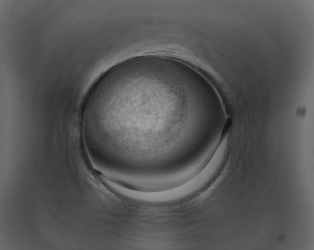 X0000092261506200710051309