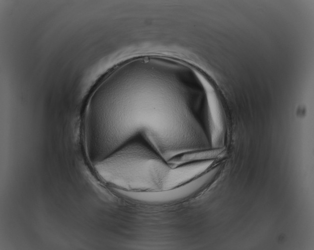 X0000092261507200710051309