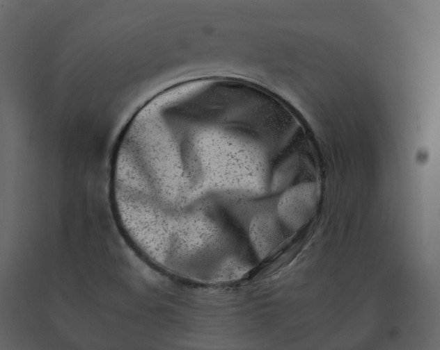 X0000092261508200710051309
