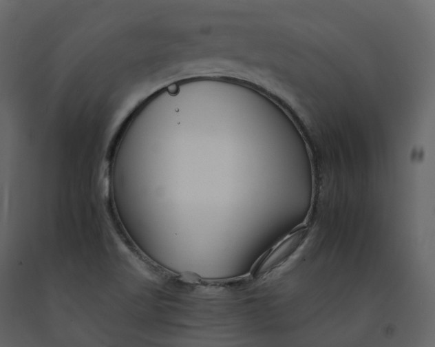 X0000092261509200710051309