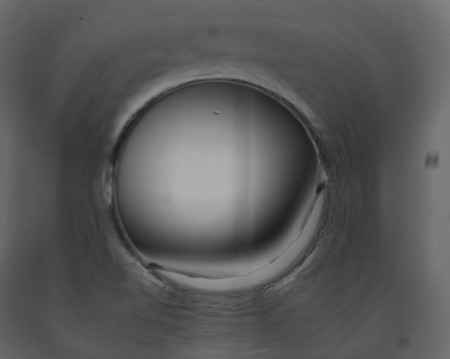 X0000092261510200710051309