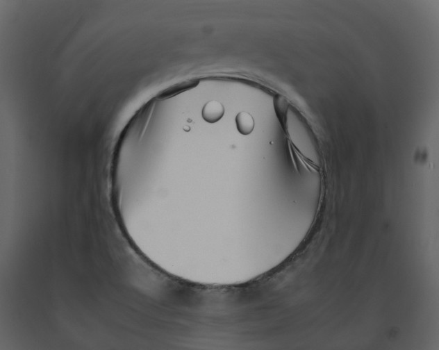 X0000092261512200710051309