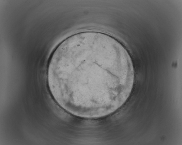 X0000092261514200710051309