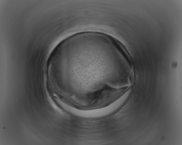 X0000092261515200710051309