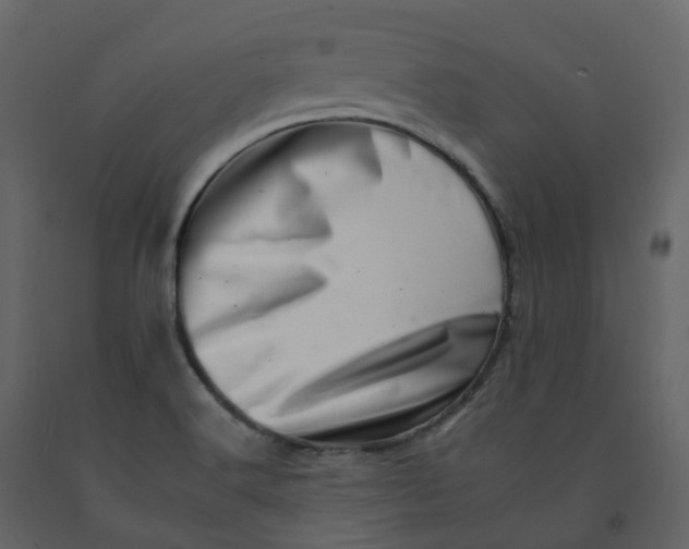 X0000092261516200710051309