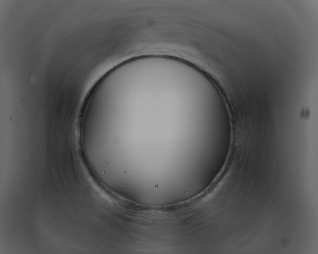 X0000092261517200710051309