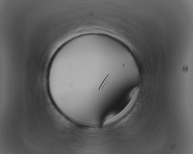 X0000092261518200710051309