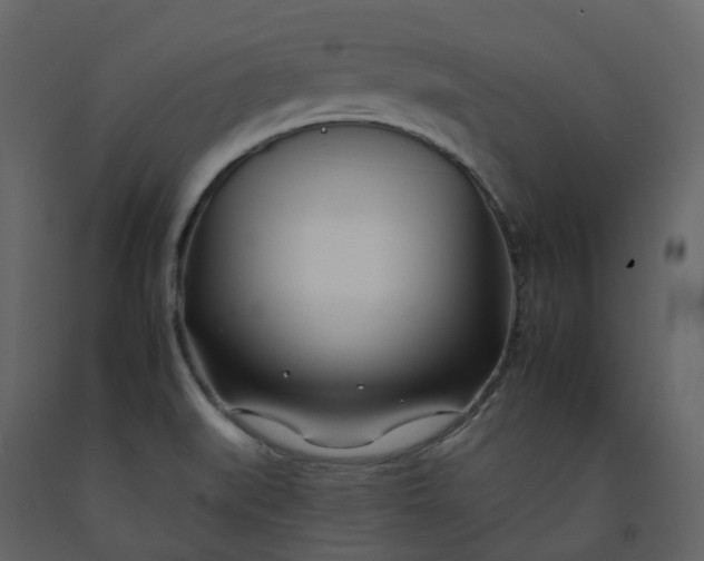 X0000092261519200710051309