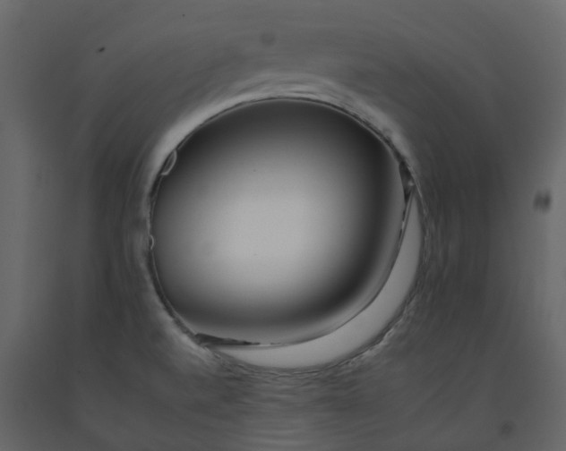 X0000092261520200710051309