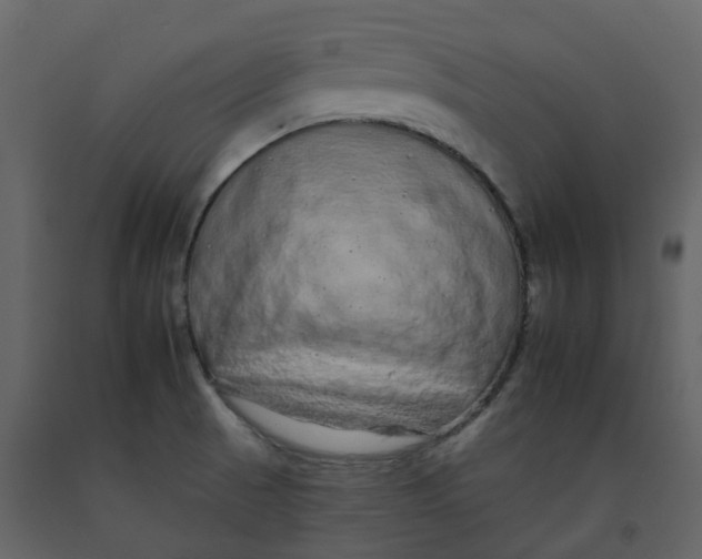 X0000092261521200710051309