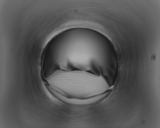 X0000092261523200710051309