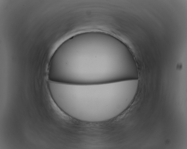 X0000092261524200710051309