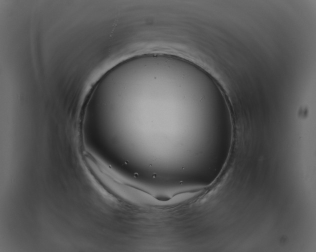 X0000092261525200710051309