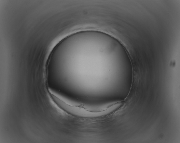 X0000092261527200710051309