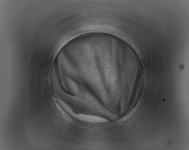 X0000092261529200710051309