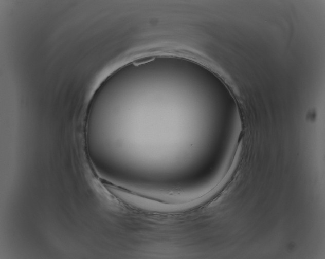 X0000092261530200710051309