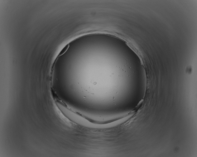 X0000092261532200710051309