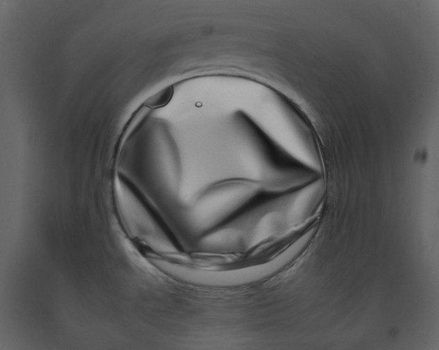 X0000092261534200710051309