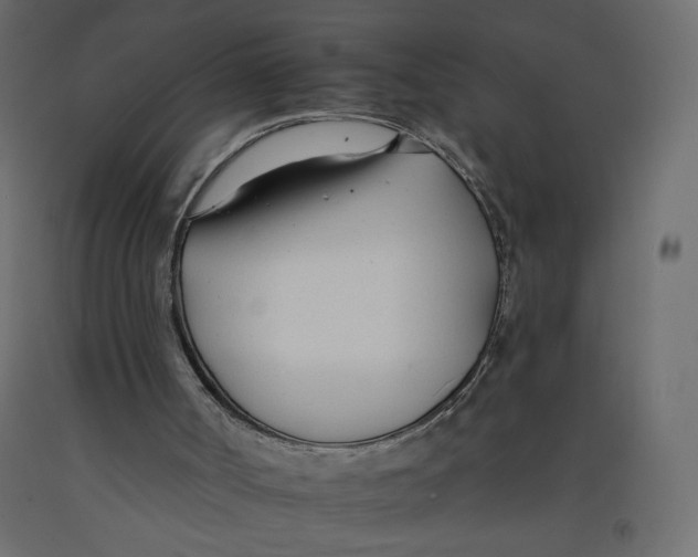 X0000092260002200710121349