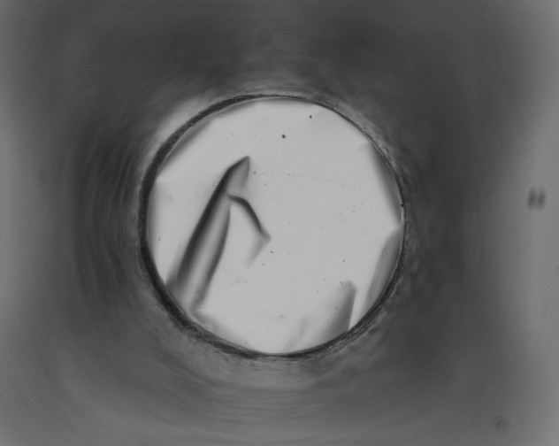 X0000092260008200710121348