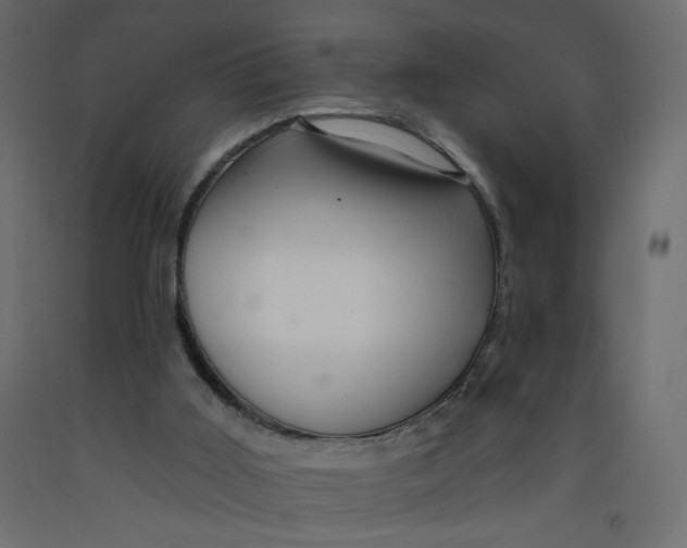 X0000092260011200710121348