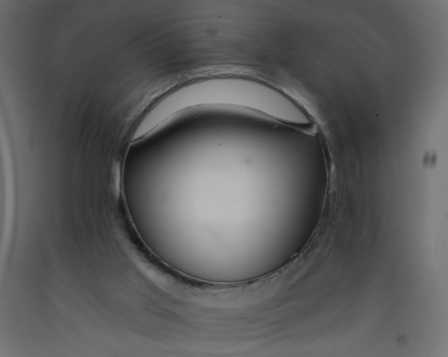 X0000092260013200710121348