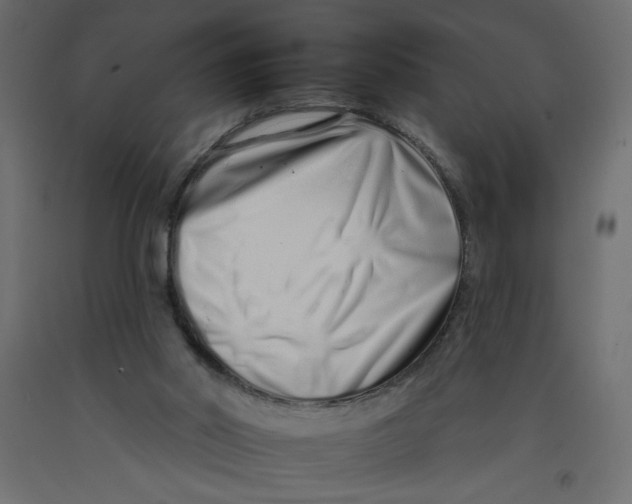 X0000092260014200710121348