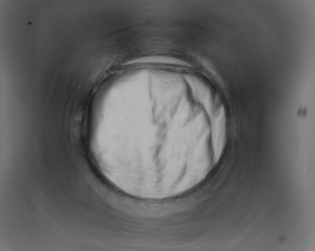 X0000092260018200710121348
