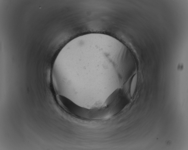 X0000092260019200710121348