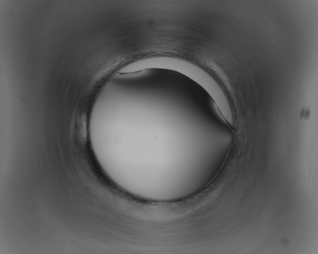 X0000092260020200710121348