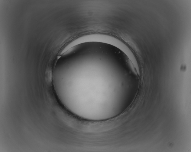 X0000092260021200710121348