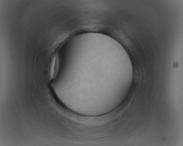 X0000092260023200710121348