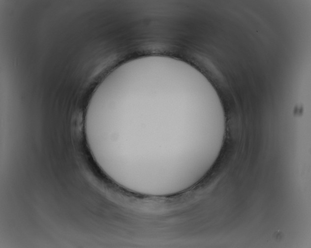 X0000092260024200710121348