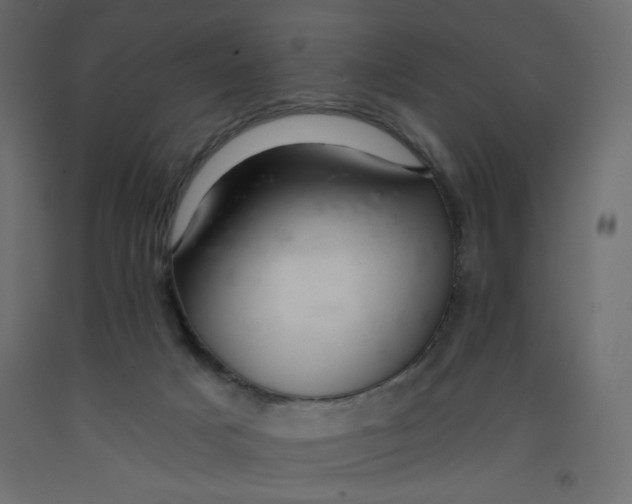 X0000092260025200710121348