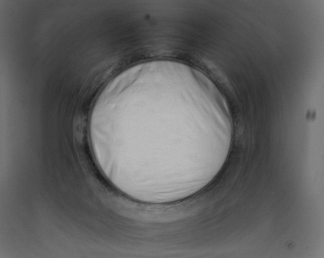 X0000092260026200710121348