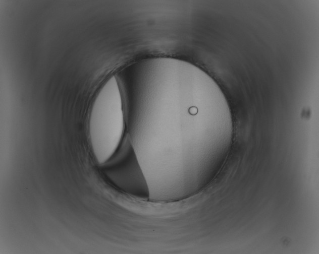 X0000092260027200710121348