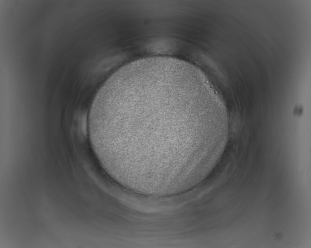X0000092260028200710121348