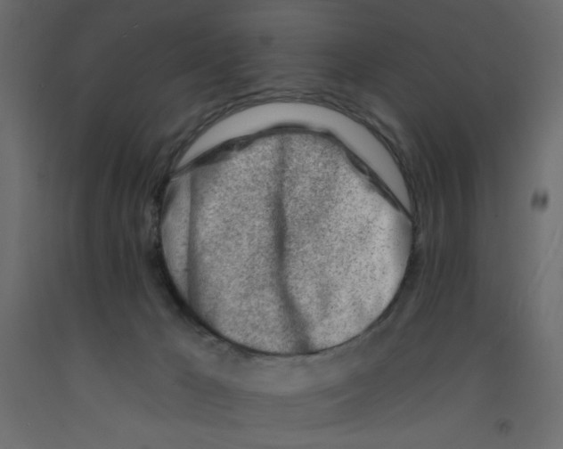 X0000092260029200710121348