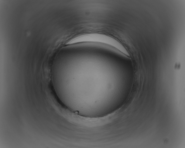 X0000092260031200710121348