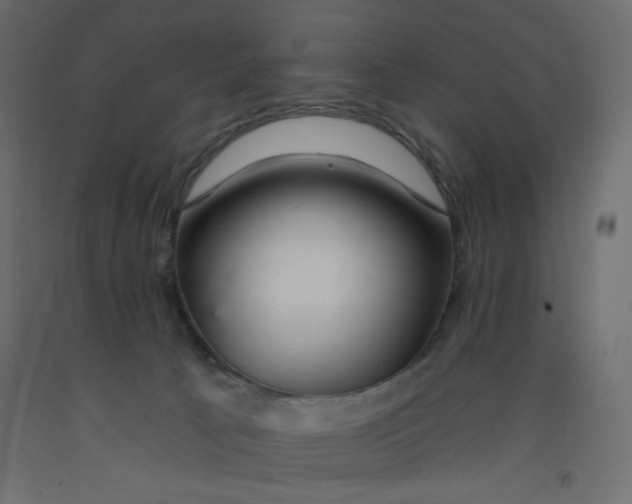 X0000092260033200710121348
