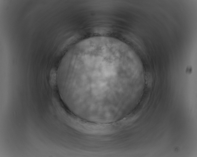 X0000092260036200710121348