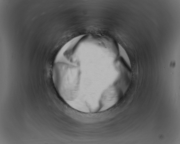 X0000092260038200710121348