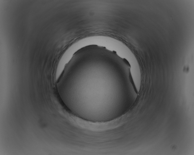 X0000092260039200710121348