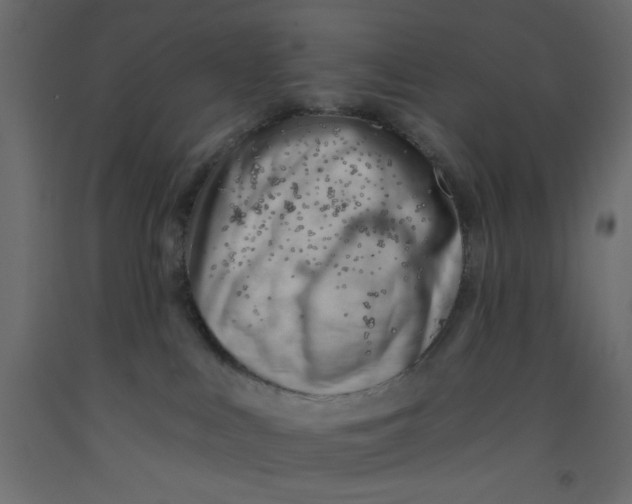 X0000092260043200710121348