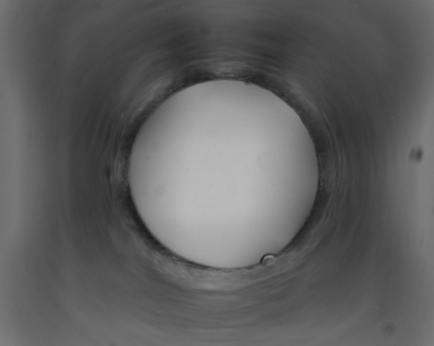 X0000092260044200710121348
