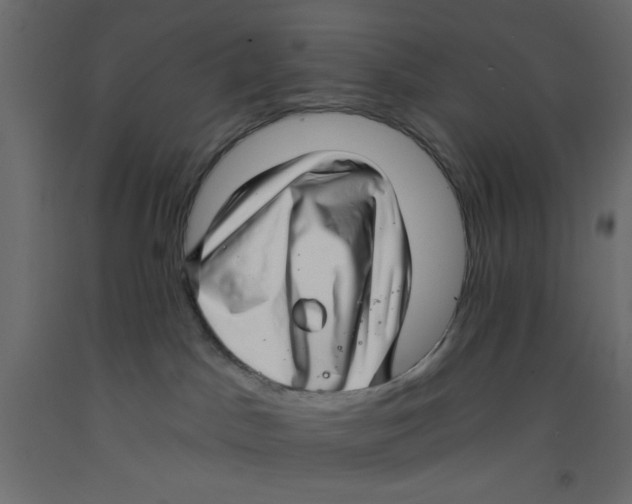 X0000092260045200710121348