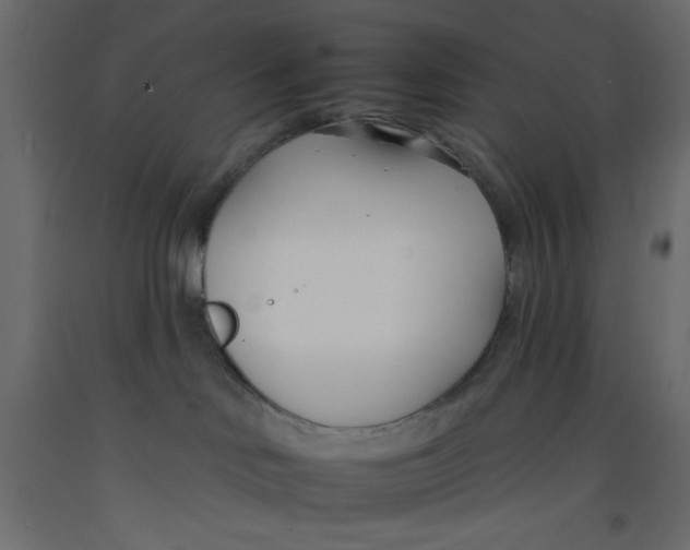 X0000092260046200710121348